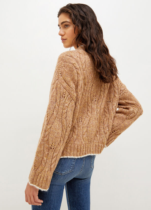 Liu Jo Wool And Alpaca Cardigan Women's Sweaters Brown | LIQ-048537