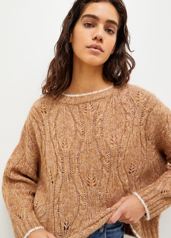 Liu Jo Wool And Alpaca Women's Sweaters Brown | TES-204751